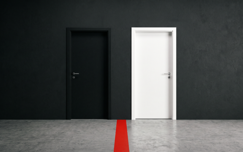 Two doors side by side on a dark wall, one white and one black, with a red line on the floor separating them